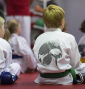 Tiger Martial Arts - improves concentration, co-ordination & agility