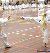 Non contact sparring develops control.
