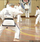 Master Low explaining a technique to Brown belt students