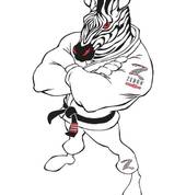 Evolve Mixed Martial Arts Thomastown Brazilian Jujutsu Classes & Lessons 1_small