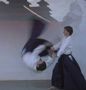 Aiki Ten Shin Sho Kai Springfield Central Aikido  Classes & Lessons 1_small