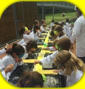 Science Party