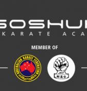 Goshukan Karate Academy Gold Coast Clear Island Waters Karate Classes & Lessons 7_small