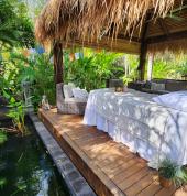 Holistic Counselling Townsville | Reiki Townsville | Crystal Healing Townsville