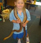 Wild Rangers Wildlife Encounters Gold Coast City Mobile Farm & Animals 5_small