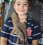 Wild Rangers Wildlife Encounters Gold Coast City Mobile Farm & Animals 8_small