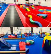 The Gymnastics Revolution Summer Hill Gymnastics Clubs 1_small