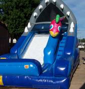 get cool on the traditional shark slide