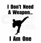 Scoresby Taekwondo Scoresby Health & Fitness School Holiday Activities 3_small
