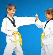 Pinnacle Taekwondo Martial Arts in Petersham Inner West Sydney for kids teens and adults