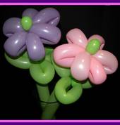 Balloon Twisting