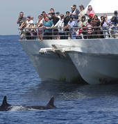 Moonshadow - TQC Cruises Nelson Bay Outdoor & Adventure School Holiday Activities 2_small