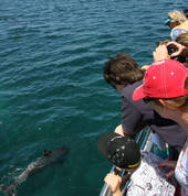 Moonshadow - TQC Cruises Nelson Bay Outdoor & Adventure School Holiday Activities 3_small