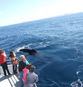 Moonshadow - TQC Cruises Nelson Bay Outdoor & Adventure School Holiday Activities 5_small