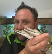 Snake Safe Victoria Kilmore Zoos 1_small