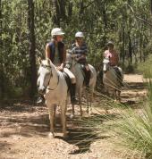 Trail rides through the native forest