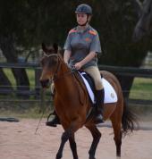 Dressage