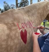 Equine Assisted Learning