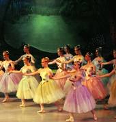 Ringwood Ballet Group Inc. Ringwood Ballet Dancing Classes & Lessons 4_small