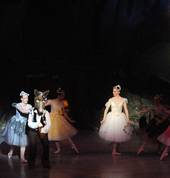Ringwood Ballet Group Inc. Ringwood Ballet Dancing Classes & Lessons 5_small