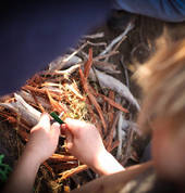 Developing life skills