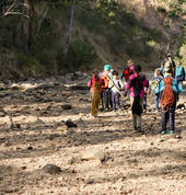 Explorer by Branch Out Adventures Middle Park Outdoor & Adventure School Holiday Activities 1_small