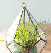 Classbento Sydney CBD Craft Classes & Lessons 2_small
