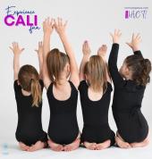 Hidden Valley Calisthenic Team Incorporated Wallan Calisthenics Associations 2_small
