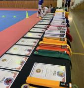 St.George Martial Arts Academy Kogarah Martial Arts Academies 1_small