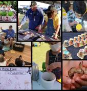 The Worm Man Brisbane Educational School Holiday Activities 1_small