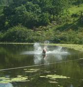 Flying fox over the dam