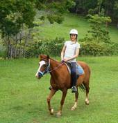 Trotting in the hills of the Sunshine Coast hinterland