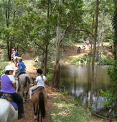 Beautiful trail rides in the hills of the Sunshine Coast hinterland