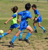 AJFC teams play in the Football Canterbury Association