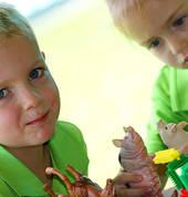 Noah's Ark Early Learning Centre
