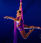 Ashton Entertainment Brisbane Circus 1_small