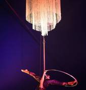 Ashton Entertainment Brisbane Circus 2_small