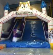 Large inflatable slide