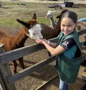 Feed an alpaca, kangaroo, miniature highland cow and much more.