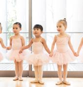Pretty Little Ballerinas Studios in Sydney's Inner City & Eastern Suburbs & Newcastle + Online Rushcutters Bay Ballet Dancing Classes & Lessons 5_small