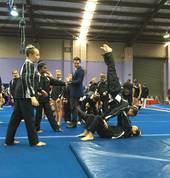 Patterson Lakes Community Centre Gymnastics Patterson Lakes Gymnastics Clubs 3_small
