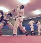 Arrow Martial Arts Marsfield Martial Arts Academies 3_small