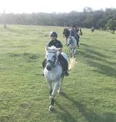 Tamaqi Park Equestrian Singleton Horse Riding Coaches & Instructors 1_small
