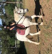Tamaqi Park Equestrian Singleton Horse Riding Coaches & Instructors 2_small