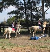Tamaqi Park Equestrian Singleton Horse Riding Coaches & Instructors 3_small