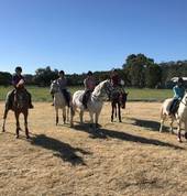 Tamaqi Park Equestrian Singleton Horse Riding Coaches & Instructors 4_small