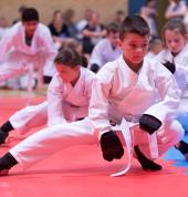MKA Adelaide Hills Freestyle Martial Arts Echunga Karate Classes & Lessons 3_small