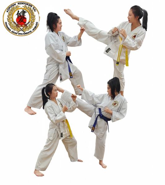 FREE introduction to Self-defence/Karate training Wakeley Karate Classes &amp; Lessons _small