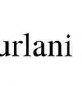 Furlani Fitness logo - Brisbane Personal Trainer