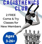 Narre Warren Calisthenics Club Narre Warren Gymnastics Classes & Lessons 2_small